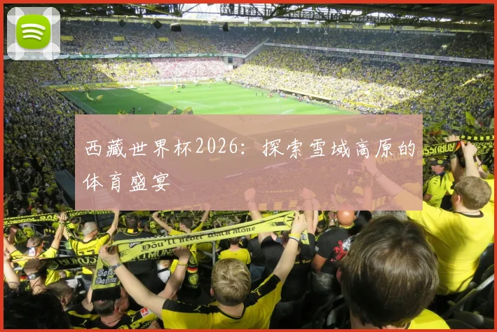 西藏世界杯2026：探索雪域高原的体育盛宴